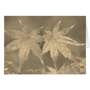 Japanese Maple Leaves Vintage Style