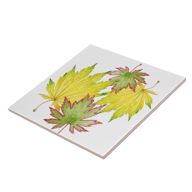 Japanese Maple on a Ceramic Tile (2) (Side)