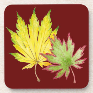 Japanese Maple on a Set of Coasters