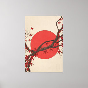 Japanese Maple Tree Canvas Print