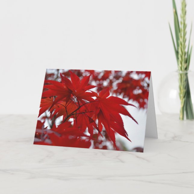Japanese Maple Tree Card (Front)