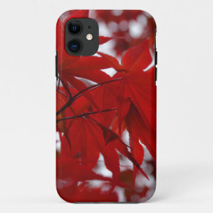 Japanese Maple Tree iPhone 11 Case