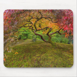 Japanese maple tree in autumn colour mouse pad