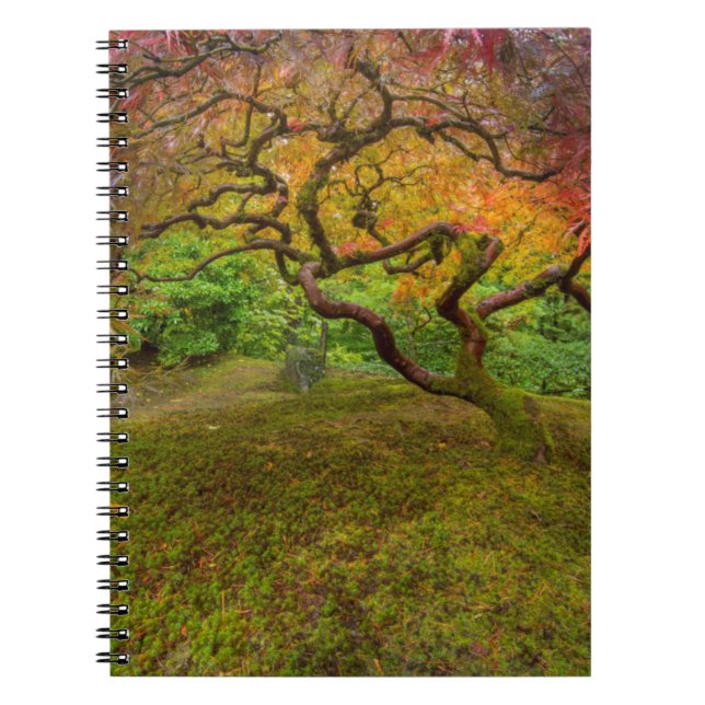 Japanese maple tree in autumn colour notebook (Front)
