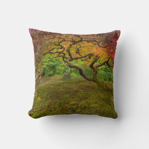 Japanese maple tree in autumn colour throw pillow