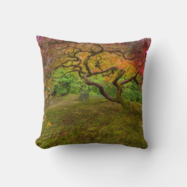 Japanese maple tree in autumn colour throw pillow (Front)