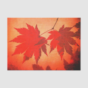 Japanese maple tree leaf and script fall orange tissue paper