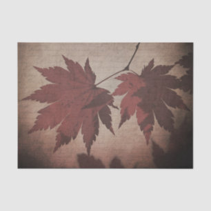 Japanese maple tree leaf script fall brown burgund tissue paper