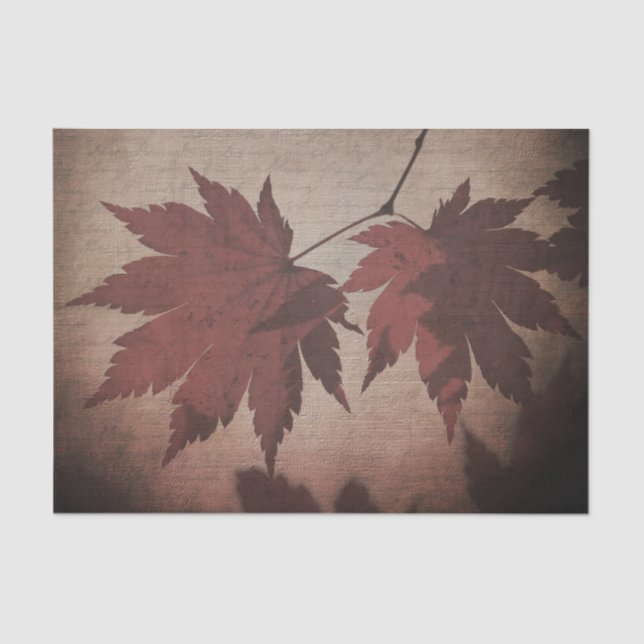 Japanese maple tree leaf script fall brown burgund tissue paper (Front)