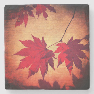 Japanese maple tree leaf script fall red orange stone coaster