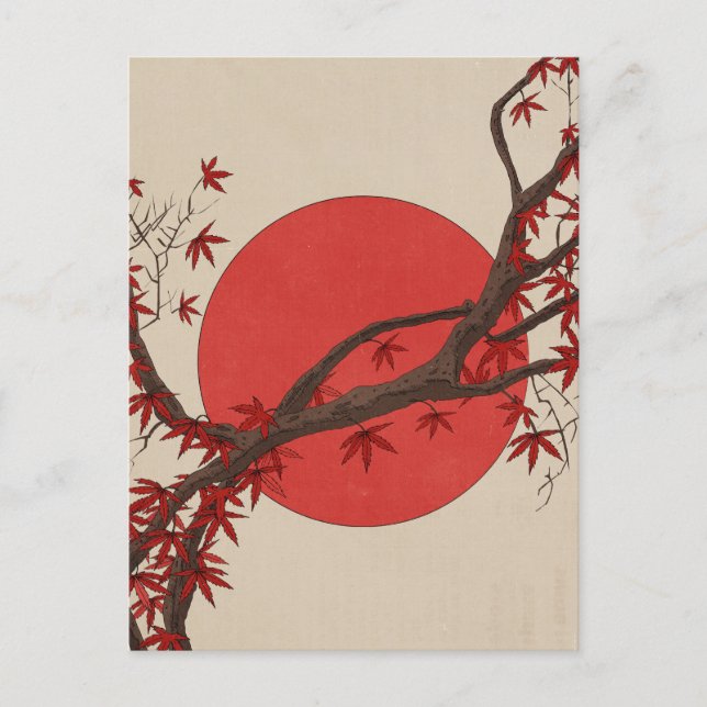Japanese Maple Tree Postcard (Front)