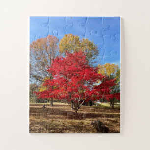 Japanese Maple Tree Puzzle