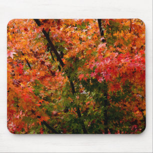 Japanese Maples in Fall Mouse Pad