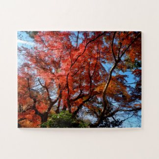 Japanese Maples Jigsaw Puzzle