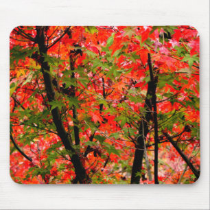 Japanese Maples Mouse Pad