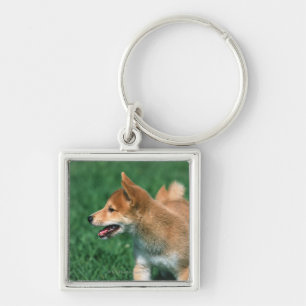 Japanese Midget Shiba Keychain