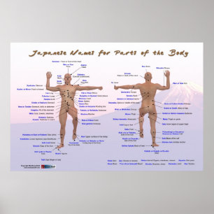 Japanese Names for Parts of the Body Poster