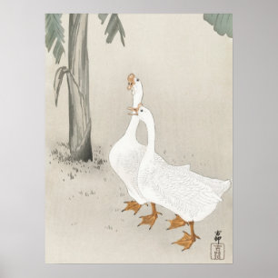 Japanese painting by koson ohara,  小原古邨の日本画 poster