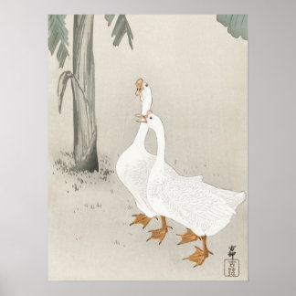 Japanese painting by koson ohara,  小原古邨の日本画 poster