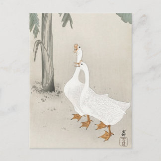 Japanese painting by ohara koson,vintage小原古邨の日本画 postcard