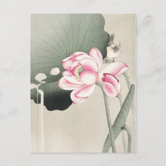 Japanese painting by ohara koson,vintage小原古邨の日本画 postcard