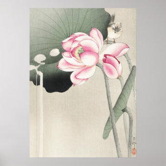 Japanese painting by ohara koson,vintage小原古邨の日本画 poster