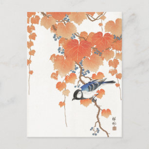 Japanese painting by ohara koson,vintage,小原古邨の日本画 postcard