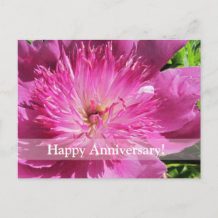 Japanese Peony Happy Anniversary Postcard