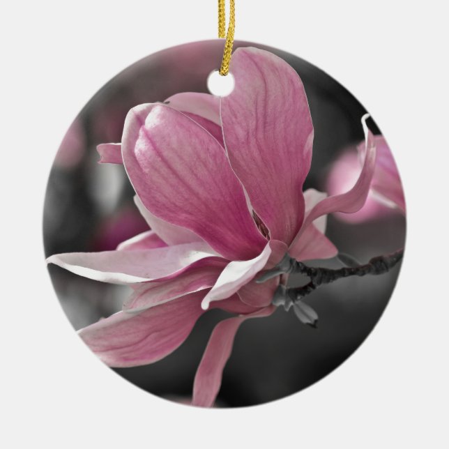 Japanese Pink Saucer Magnolia Ceramic Ornament (Front)