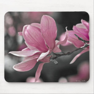 Japanese Pink Saucer Magnolia Mouse Pad