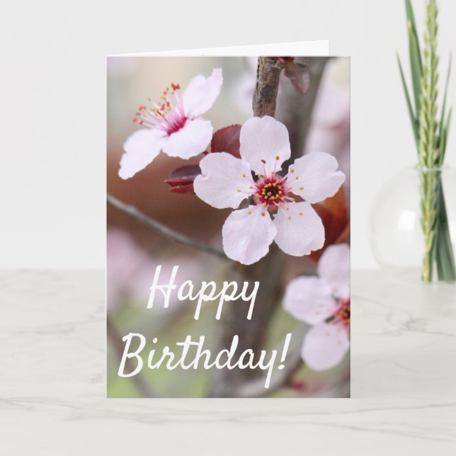 Japanese Plum Flowers Birthday Card (Front)