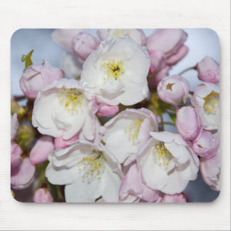 Japanese Plum Mousepad