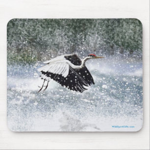 Japanese Red-crested Crane Flying in Snow Mouse Pad