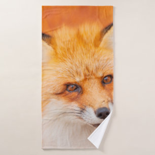 Japanese red fox resting, sleeping and playing in  bath towel
