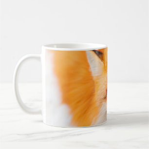 Japanese red fox resting, sleeping and playing in  coffee mug
