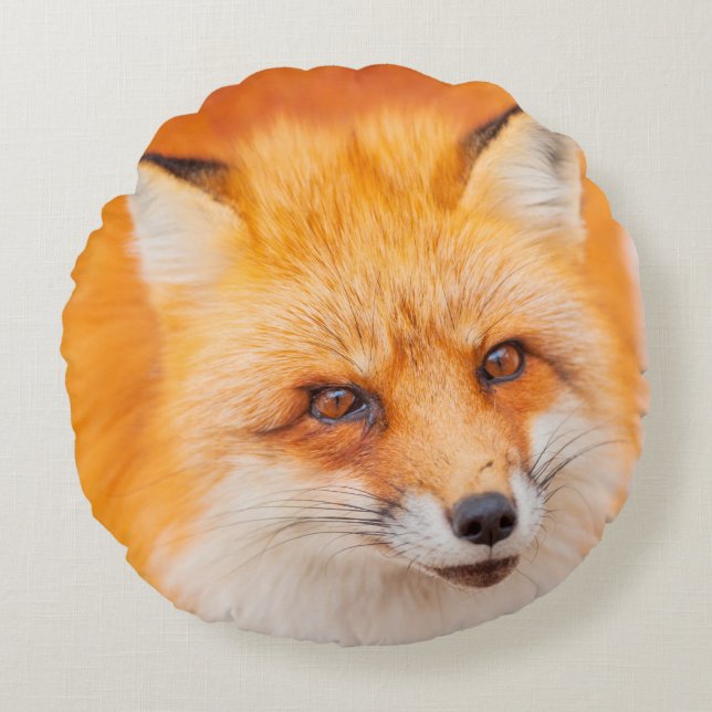 Japanese red fox resting, sleeping and playing in  round pillow (Front)