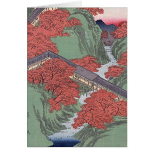 Japanese red maple
