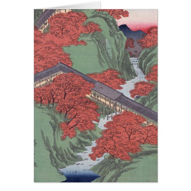 Japanese red maple (Front)