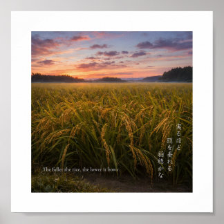Japanese Rice Field Sunrise – Nature Wisdom Print