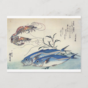 Japanese Sea Life Painting circa 1800's Postcard
