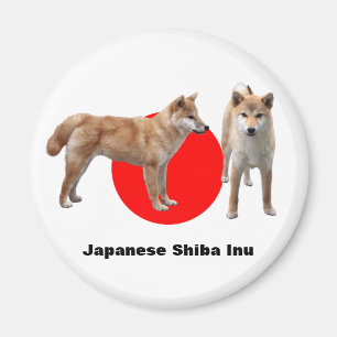 Japanese Shiba Inu Magnet