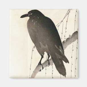 Japanese sketch of a raven magnet
