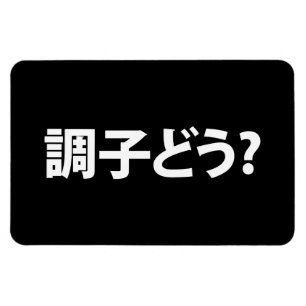 Japanese Slang What's Up 調子どう? Choushi Dou Magnet