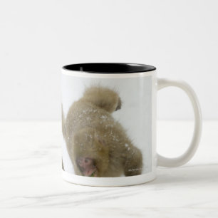Japanese Snow Monkey cubs playing on snow Two-Tone Coffee Mug