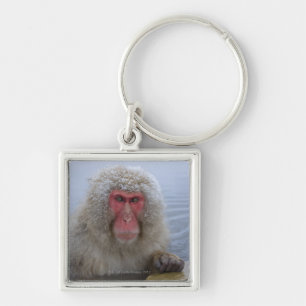 Japanese Snow Monkey in hotspring Keychain
