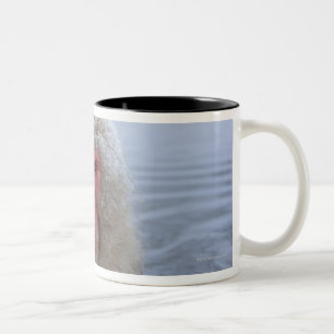 Japanese Snow Monkey in hotspring Two-Tone Coffee Mug