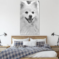 Japanese Spitz