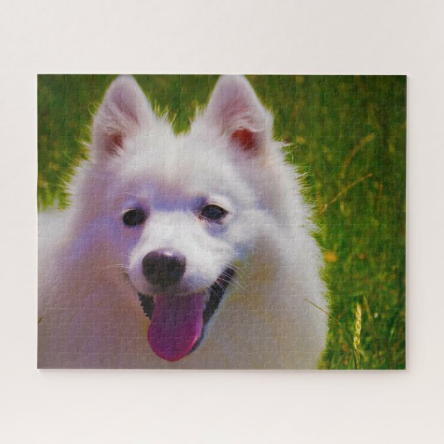 Japanese Spitz Dog. Jigsaw Puzzle (Horizontal)