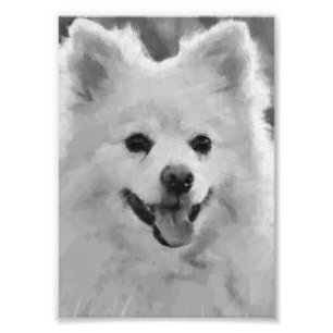 Japanese Spitz Photo Print