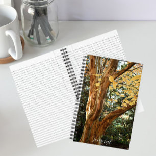 Japanese Stewartia Tree Botanical Photo Notebook